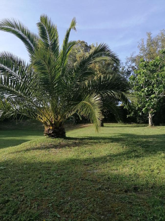 Villa El Encinar De Noja Εξωτερικό φωτογραφία